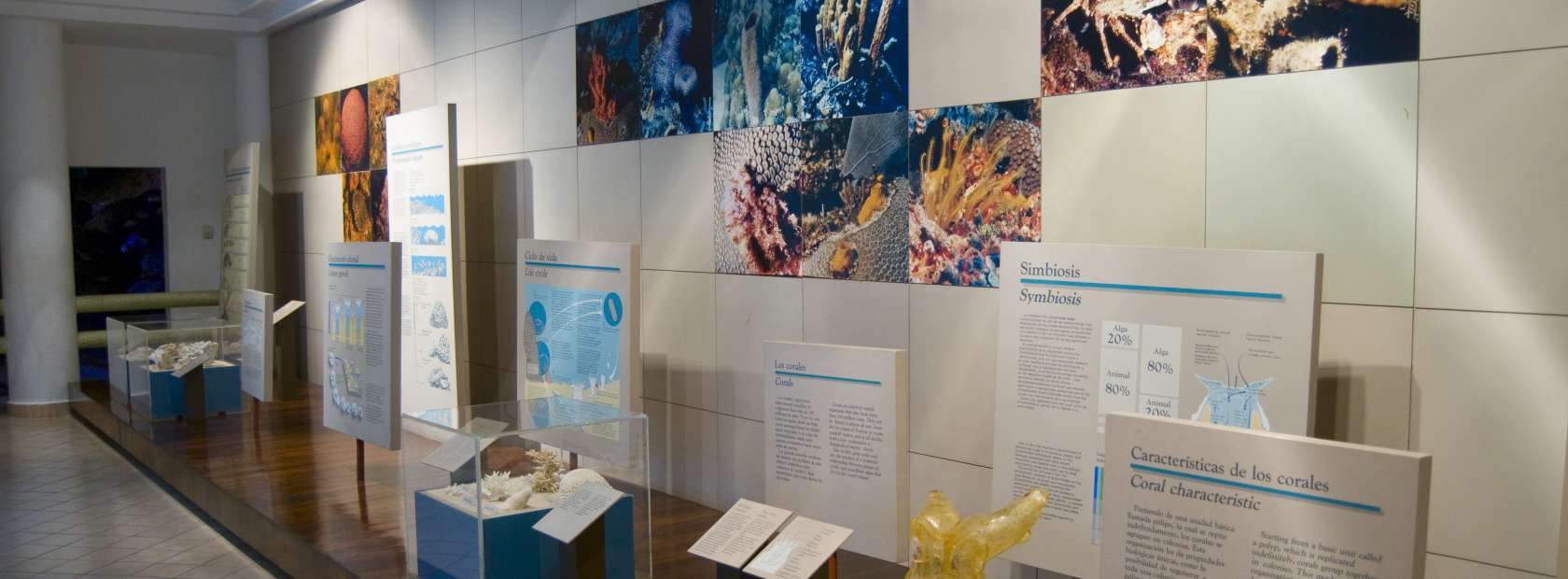 Cozumel Island Museum Exhibits