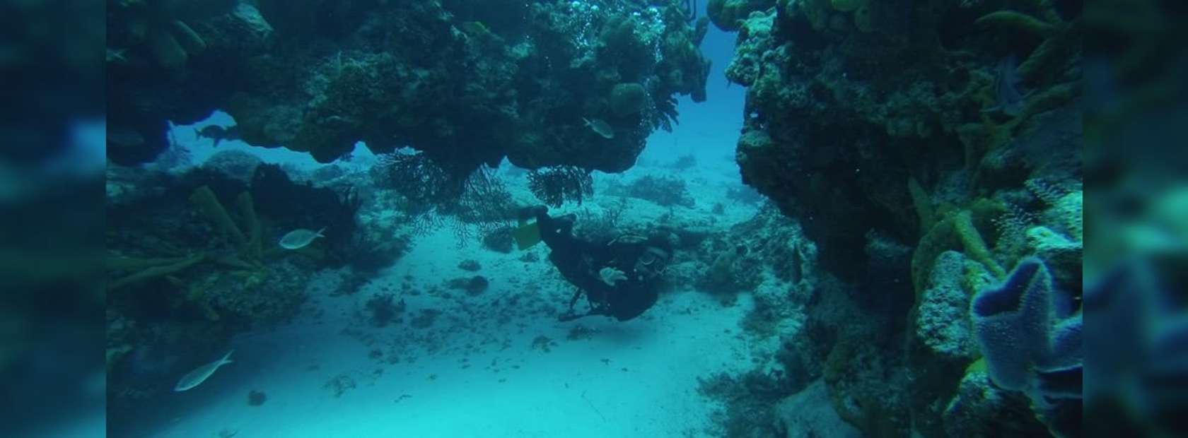Scuba Diver under Coral Formations