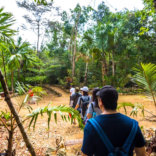 Tourists Hiking through Jungle Gardens