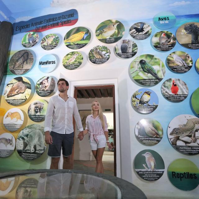 Punta Sur Native Species Exhibit