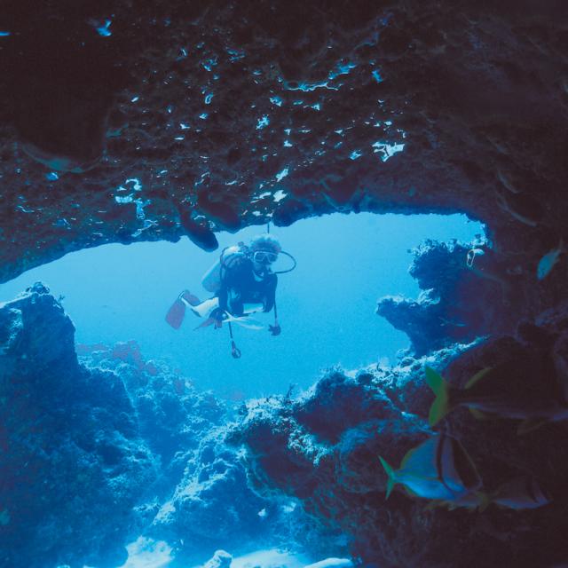 Diver and Fish in Underwater Cave