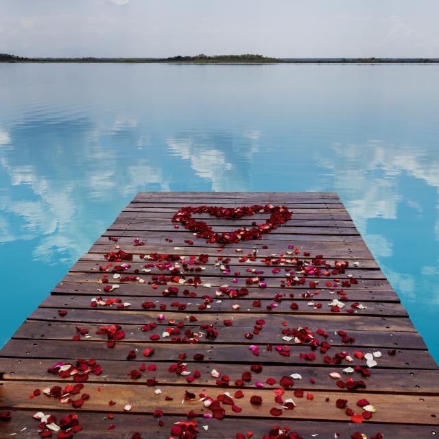 Flower Petals on Pier in Heart Shape