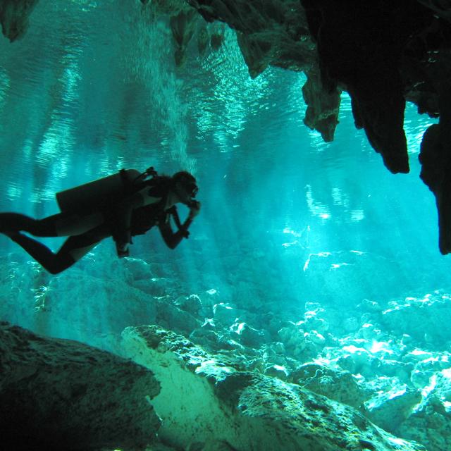 Diver in Cenote