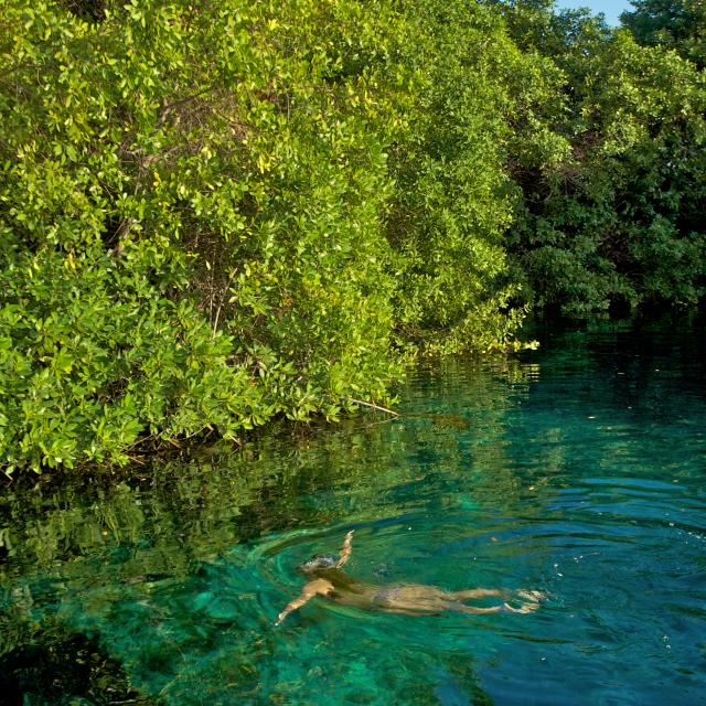 Woman Swimming in Cenote Lagoon