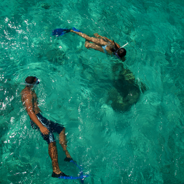 People Snorkeling in Clear Water