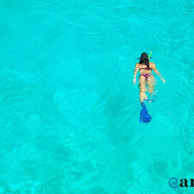 Woman Snorkeling on Surface of Water