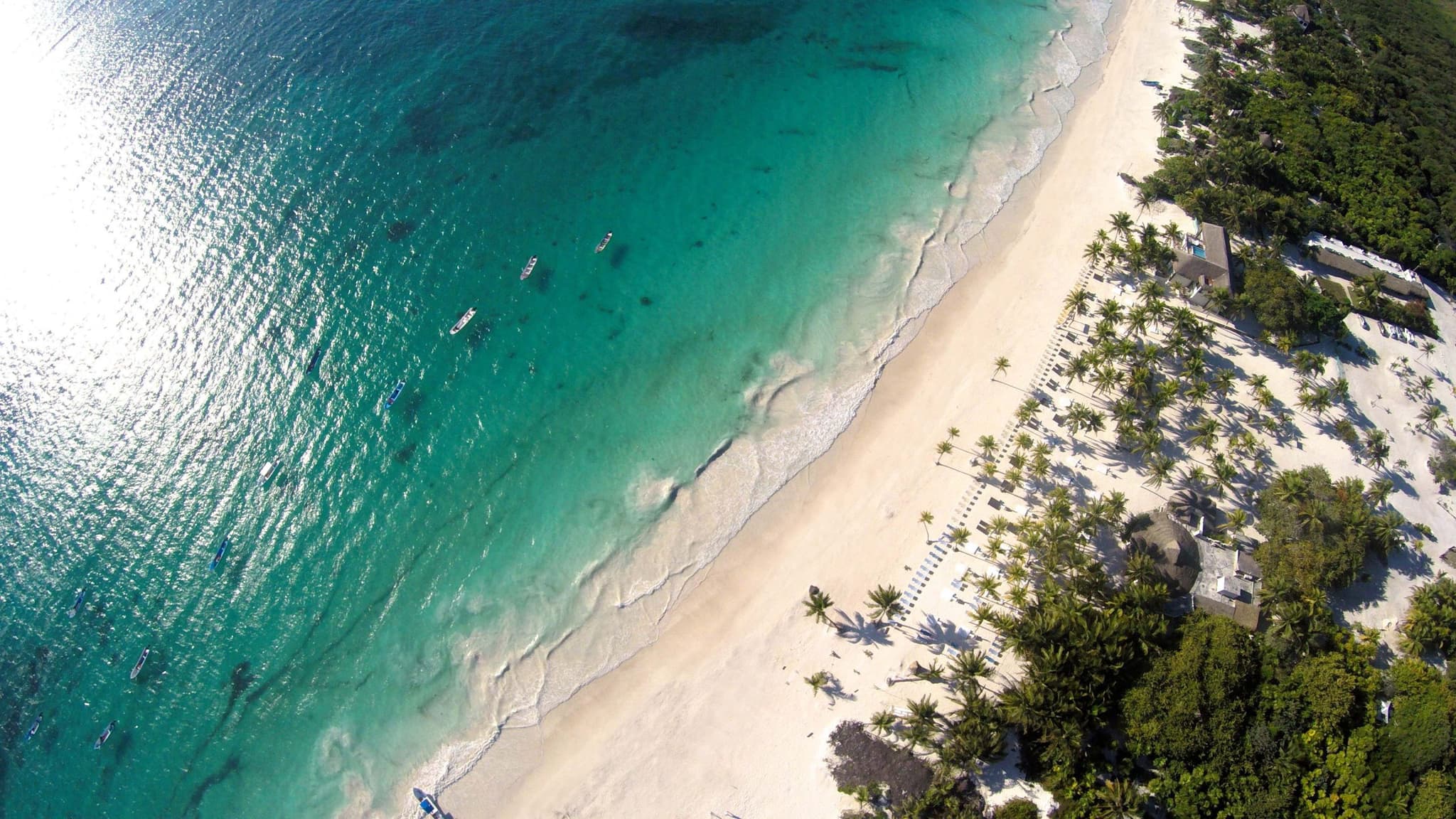 Aerial view of a white sand beach in the Mexican Caribbean