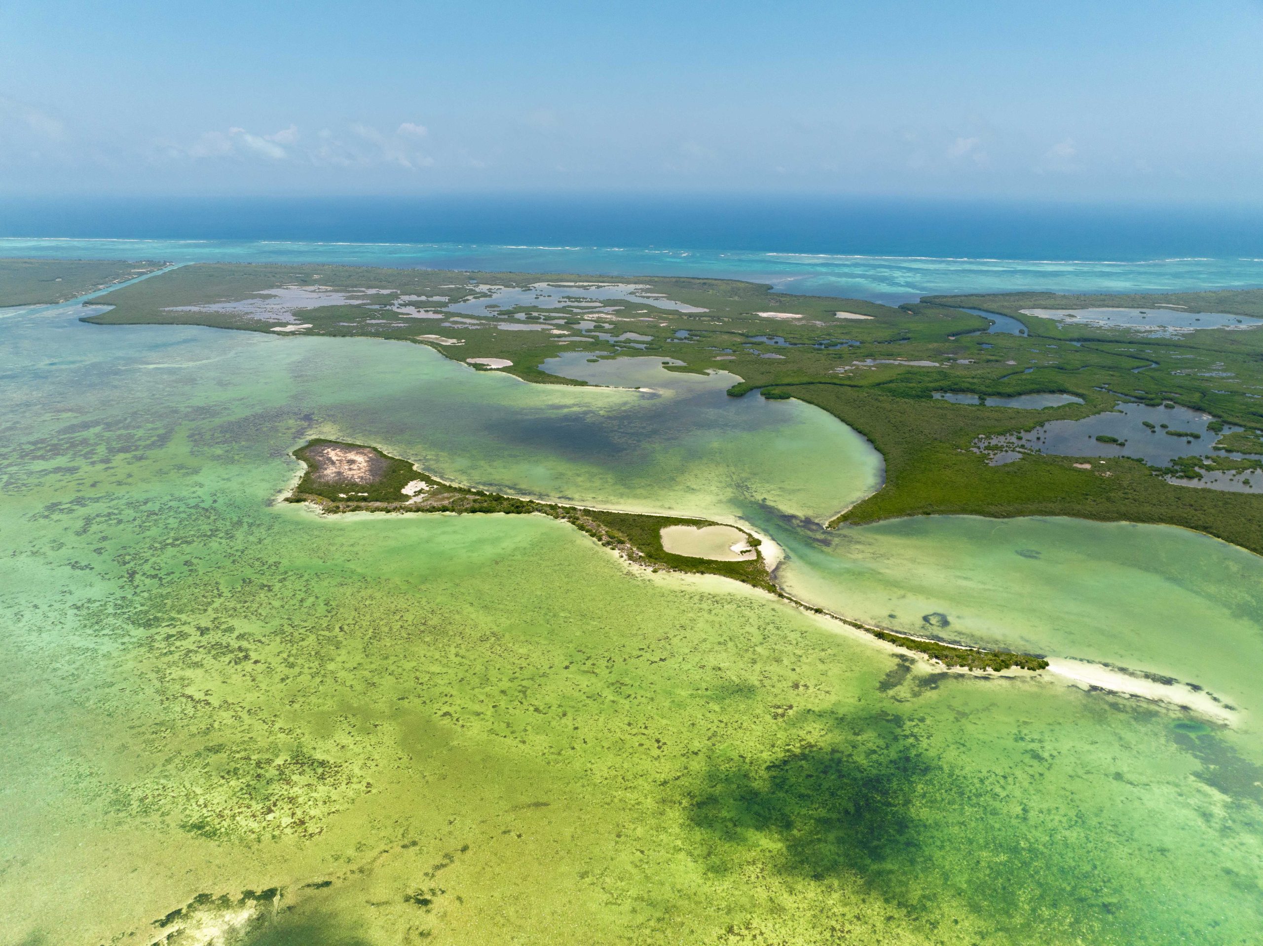 Aerial view of the coast and reef of Mahahual